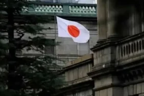 Japonya'da Asırlık Sanayi ve Üretim Şirketlerinde Halefiyet ile Maliyet Kaynaklı İflas Dalgası