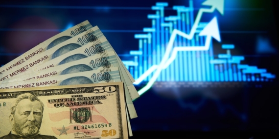 Dolar/TL Haftanın İlk İşlem Gününde 49,1630 Seviyesine Ulaşarak Tarihi Zirvesini Yeniledi
