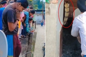 Hindistan'da Bir Evin Klozetinde Görülen Dev Kobra Paniğe Neden Oldu