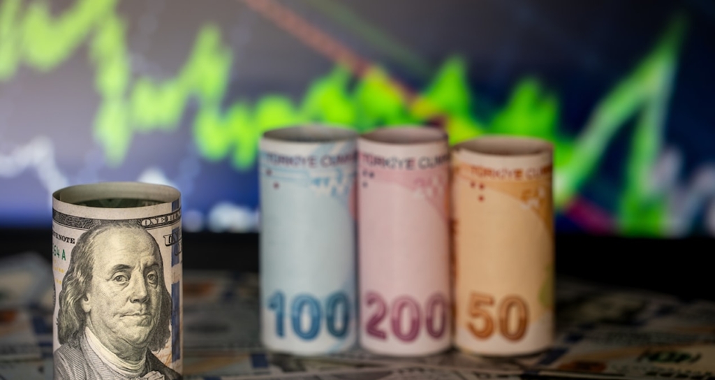 Dolar küreselde gerilerken TL'deki zayıf seyir kurda rekor getirdi