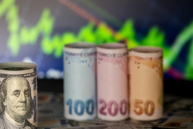 Dolar küreselde gerilerken TL'deki zayıf seyir kurda rekor getirdi