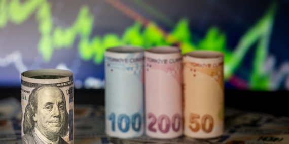 Dolar küreselde gerilerken TL’deki zayıf seyir kurda rekor getirdi